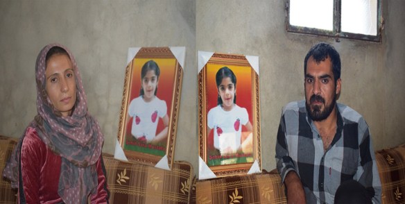 20181114-152803-grispi-bave-sara316c9c-image